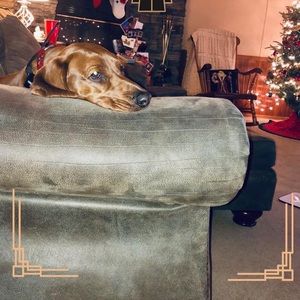 Meet your Posher, Linda